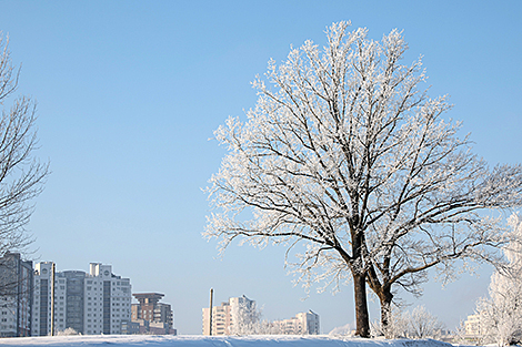 Январский день в Лошицком парке 
