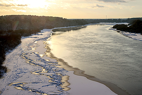 Река Сож в Гомельском районе 