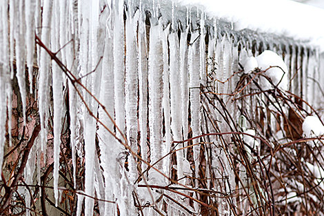 Снежный зимний день в Докшицком районе 