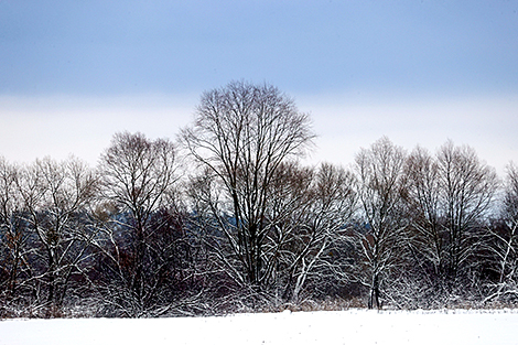 Зимнее небо в Гомельском районе