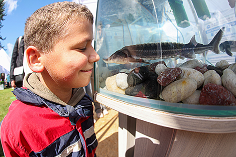 Science Festival 2026 at the Central Botanical Garden of the National Academy of Sciences of Belarus