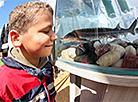 Science Festival 2026 at the Central Botanical Garden of the National Academy of Sciences of Belarus