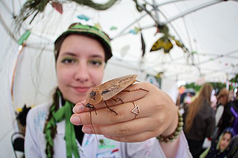 Science Festival 2026 at the Central Botanical Garden of the National Academy of Sciences of Belarus