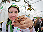 Science Festival 2026 at the Central Botanical Garden of the National Academy of Sciences of Belarus