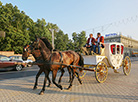 Classics at the Town Hall 2016: Baroque-style carriage in streets of Minsk