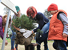 Biathlon stars plant Legends' Park in Borovlyany 