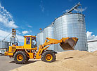 Harvest time in OAO Belovezhsky