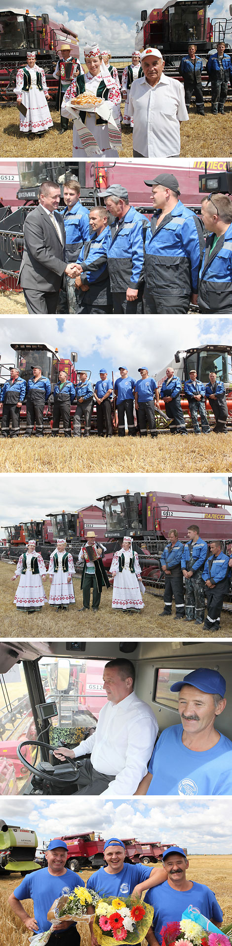 Harvesting in Rechitsa District 