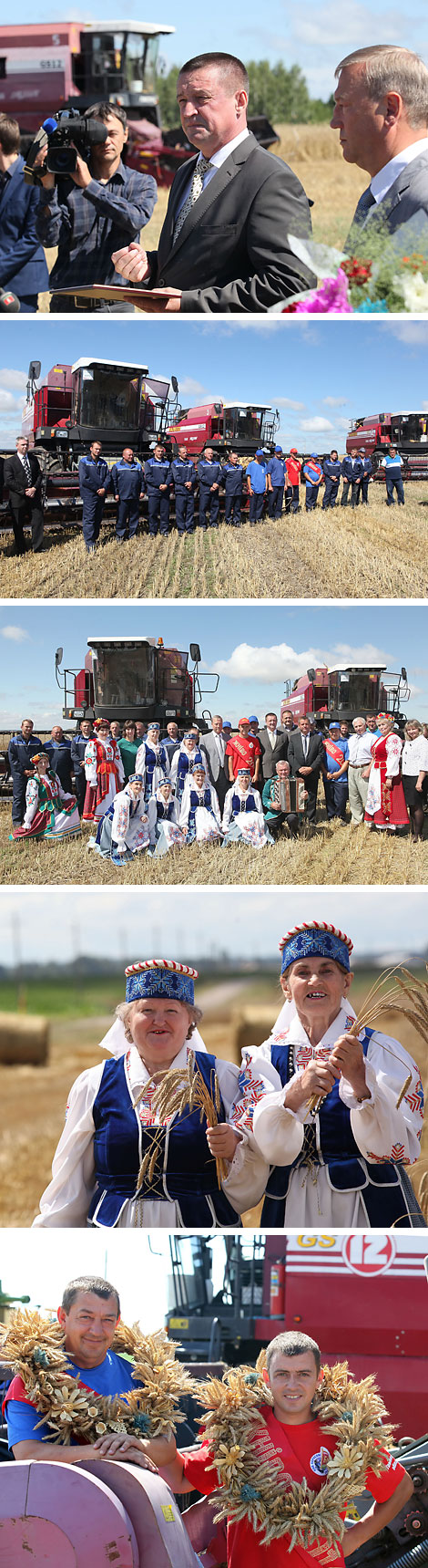 In the fields of Sudkovo company, Khoiniki District
