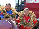 In the fields of Sudkovo company, Khoiniki District