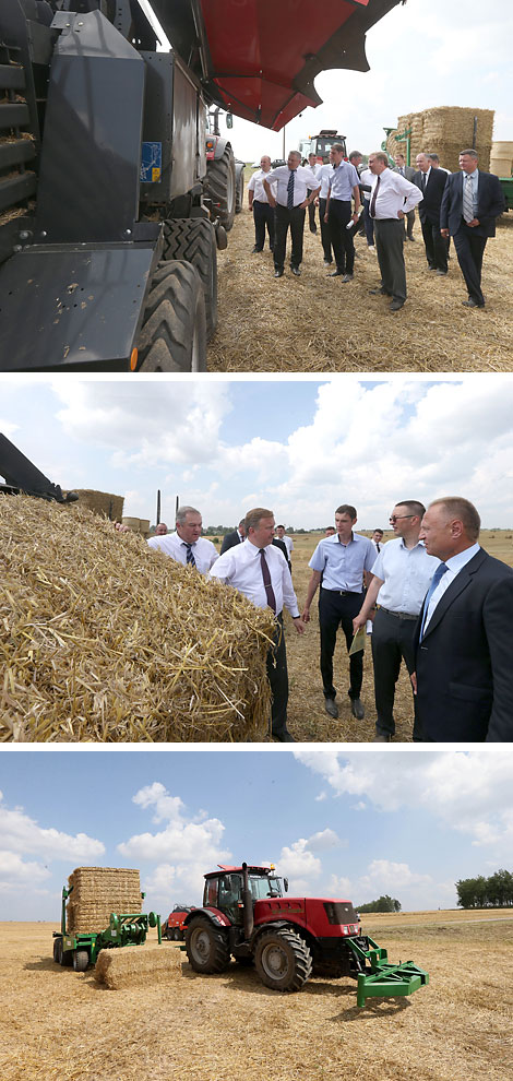 Harvest time in Borisov District