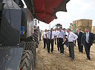 Harvest time in Borisov District