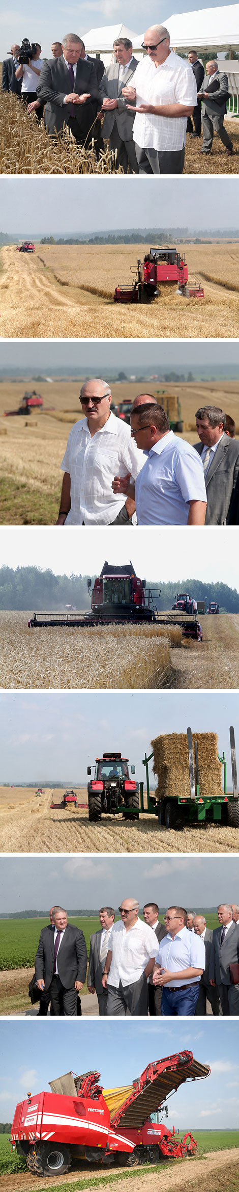 Belarus President Alexander Lukashenko monitors progress of 2016 harvesting campaign in Minsk Oblast