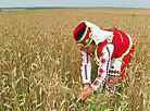 Dazhynki, a Slavic harvest festival that has survived to modern times