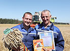 Harvesting in the fields of OAO Alexandriyskoye, Shklov District