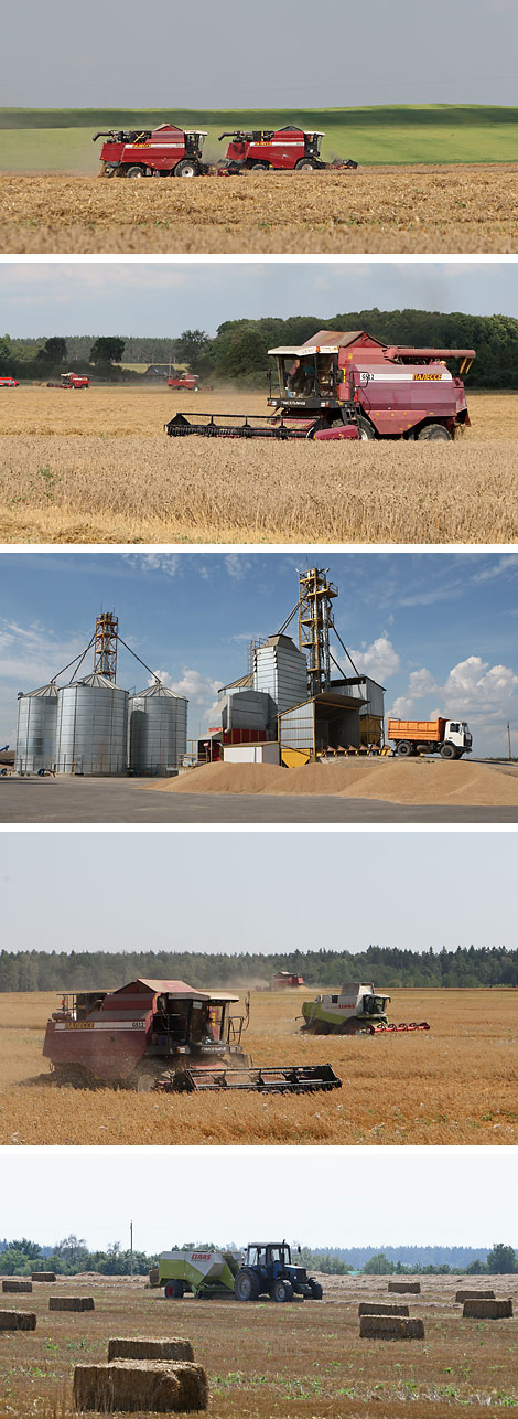 Nesvizh District, one of the leaders of the  harvesting campaign in Minsk Oblast