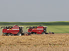 Nesvizh District, one of the leaders of the  harvesting campaign in Minsk Oblast