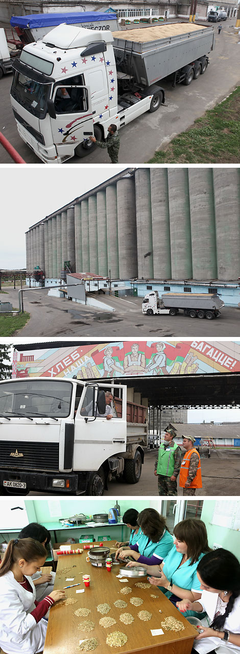 Grain of the new harvest delivered to Kalinkovichi Bakery