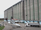 Grain of the new harvest delivered to Kalinkovichi Bakery