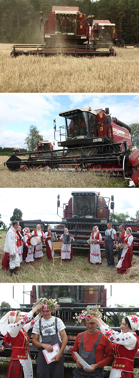 Harvest time in Voronovo District 