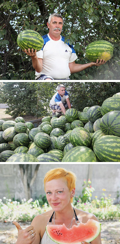 Rechitsa Watermelons farm