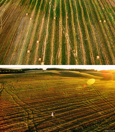2016 Summer Harvest in Belarus