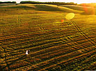 2016 Summer Harvest in Belarus