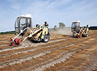 Flax harvesting 