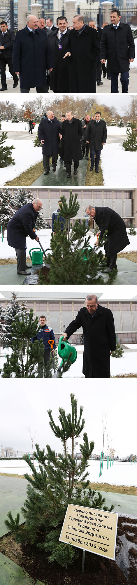 Реджеп Тайип Эрдоган посадил дерево на Аллее почетных гостей у Дворца Независимости
