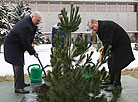 Recep Tayyip Erdogan plants a tree in the Guests of Honor Alley at the Palace of Independence