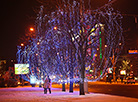 In anticipation of New Year 2017: Festive lights in Minsk