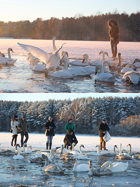 Icy magic at Minskoye More Lake 