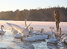 Icy magic at Minskoye More Lake 