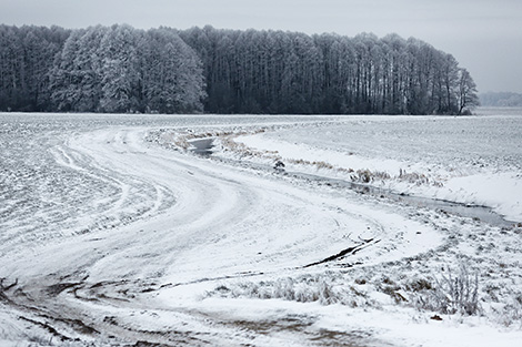 Snowy landscape