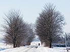 Winter in the village of Velyun, Brest District