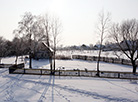 Snowy landscape