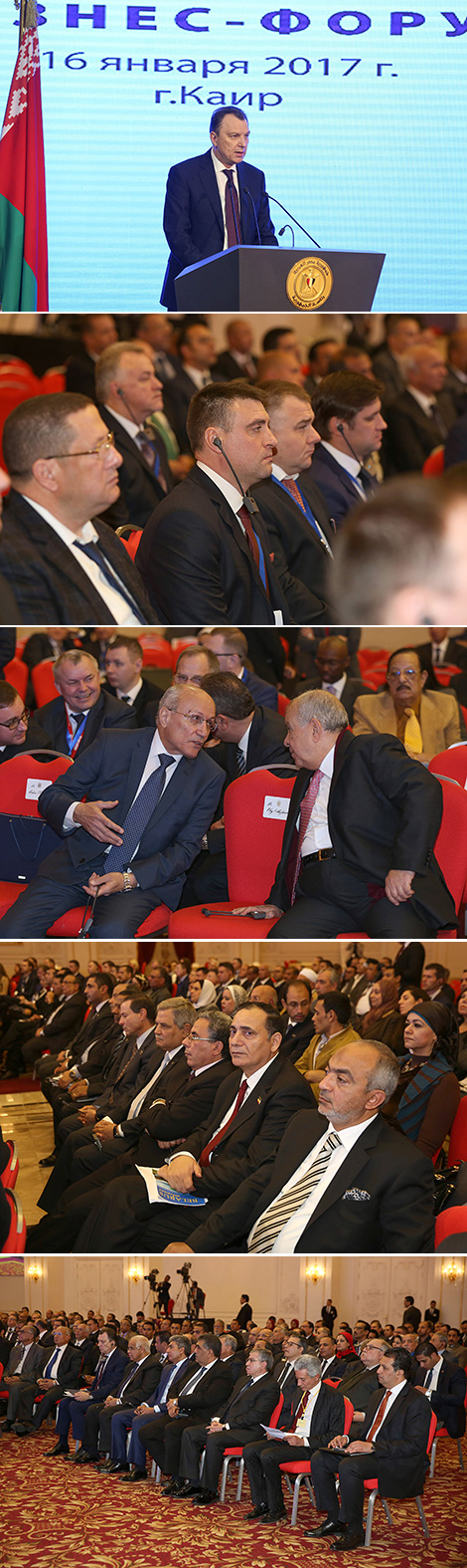 Открытие белорусско-египетского делового форума в Каире 