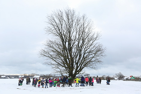 A Pull the Kolyada Up the Oak rite