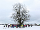 A Pull the Kolyada Up the Oak rite