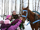 A Pull the Kolyada Up the Oak rite