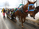 A Pull the Kolyada Up the Oak rite