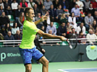 Marius Copil