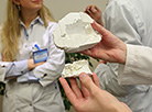 3D heart model