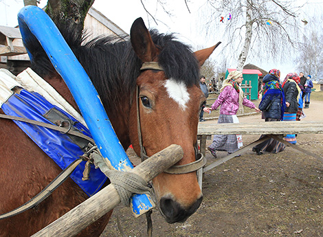 Gukanne Vyasny (Spring is Calling) rite in Lelchitsy District