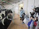 Chinese journalists visit Ozeritsky-Agro