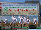 Белагра-2017

