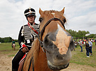 Golden Spur. 1812 reenactment festival 