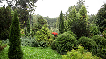 Ботанический сад в Горках