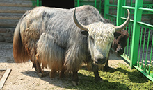 Зоопарки Беларуси