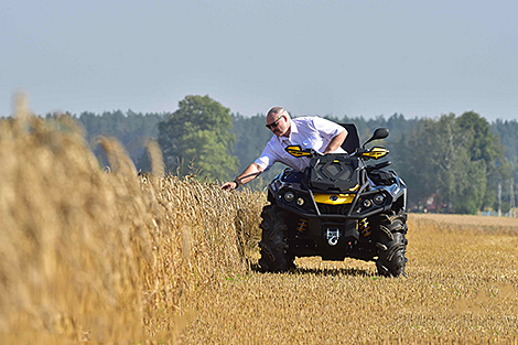 Lukashenko's demand of careful attitude to grain explained